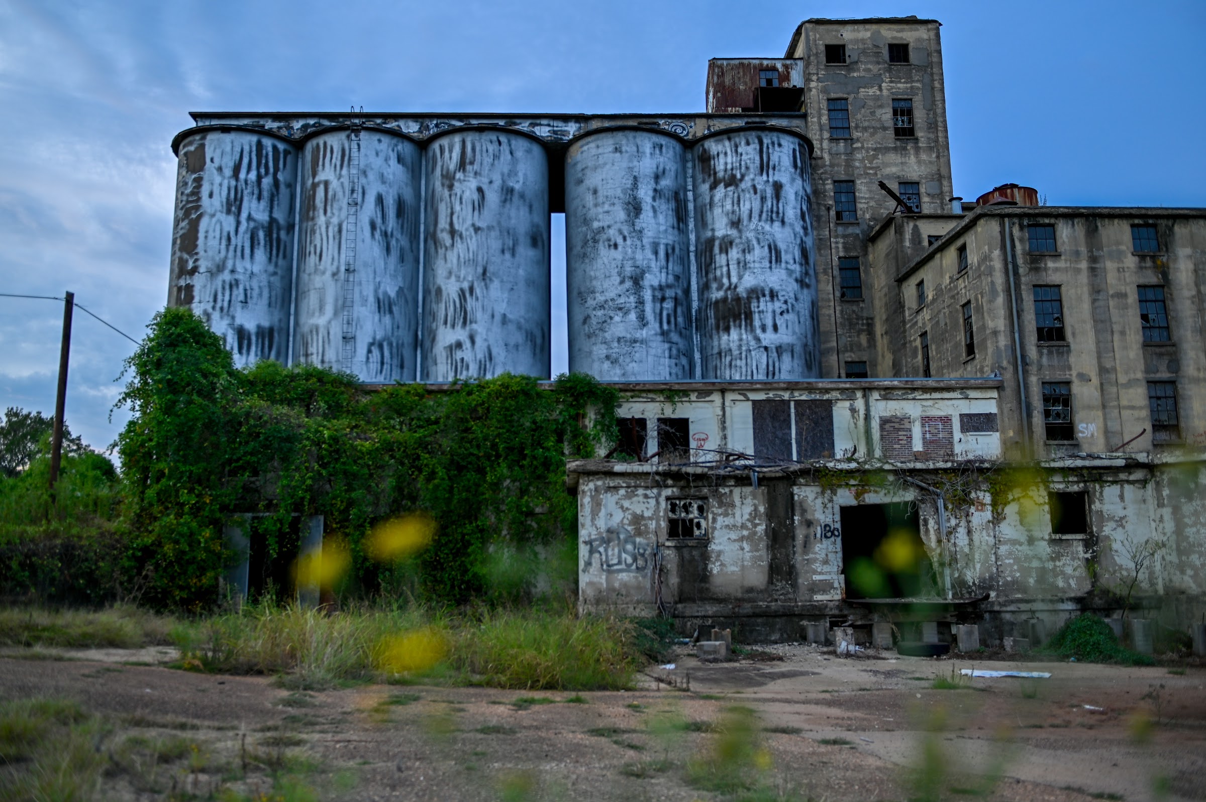 Weathered concrete silos and a decaying industrial mill building stand under a cool sky, overgrown — abandoned places photography in East Texas by Kaden Baker